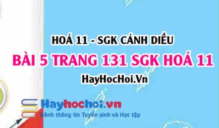 Bài 5 trang 131 SGK Hoá 11 Cánh diều